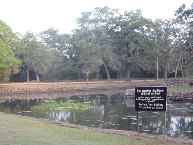 Water gardens on the approach to the rock - crocodiles about