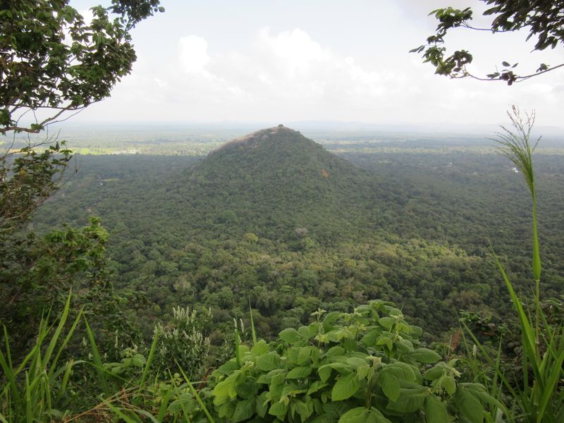 Pidurangula