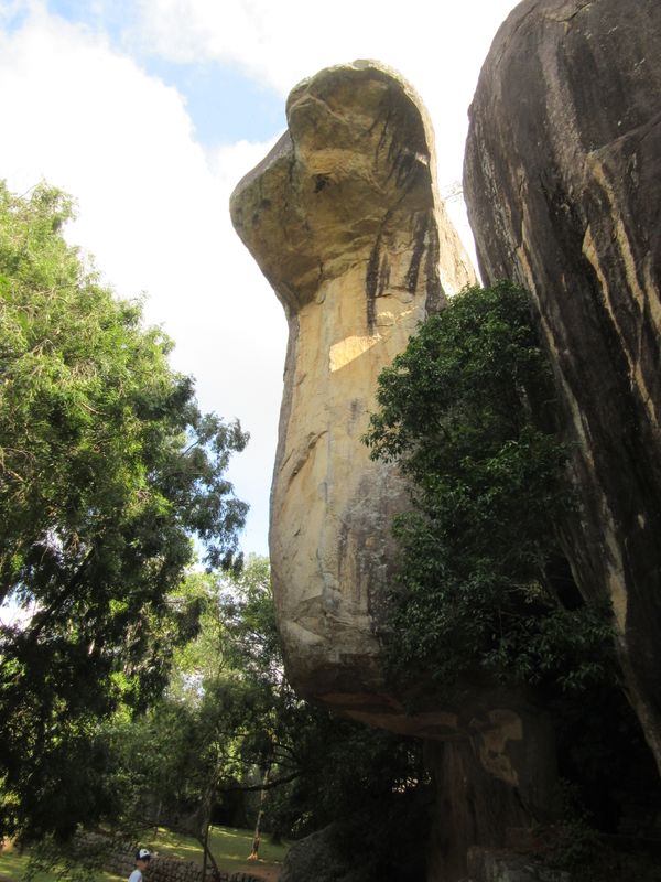Cobra Hood Cave
