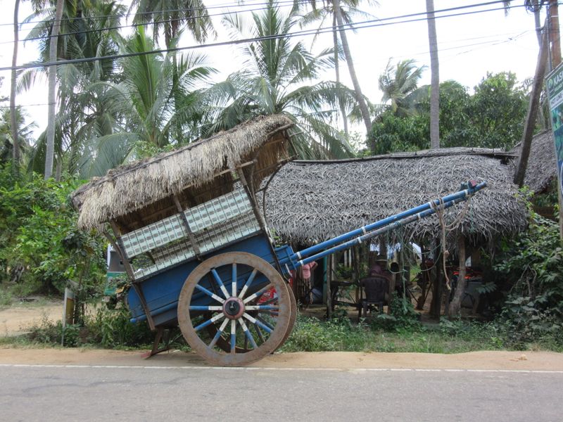 ...for village tours