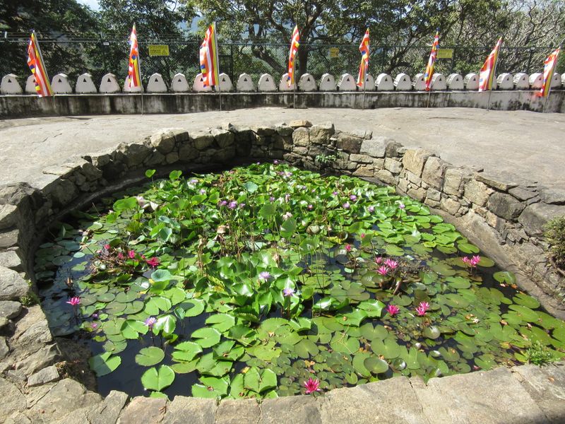Pond