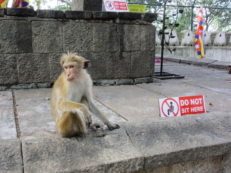 No sitting allowed