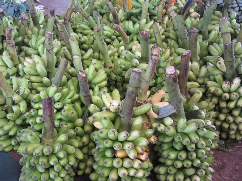 Bananas