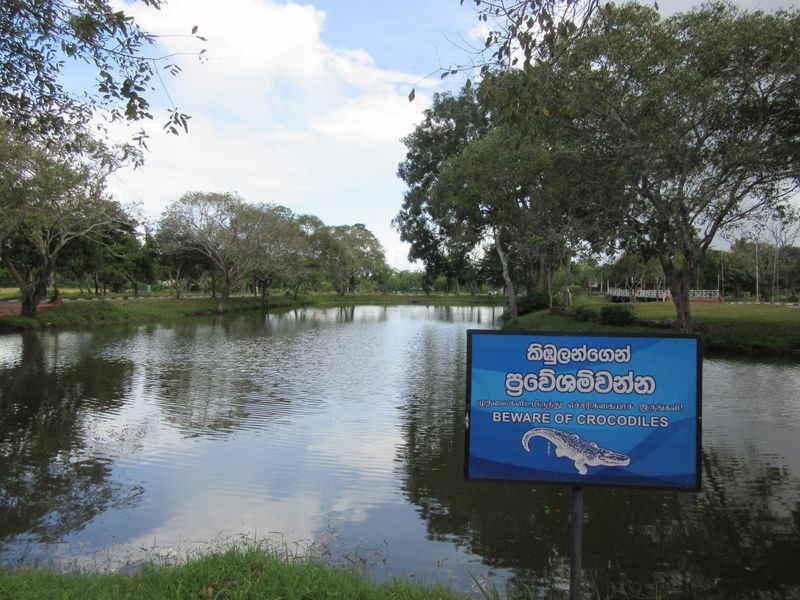 Lookout for crocodiles