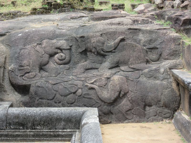 ...of elephants