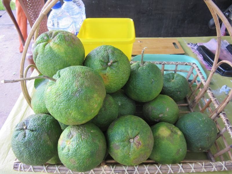 It's hot and humid - we stop for a fresh orange juice