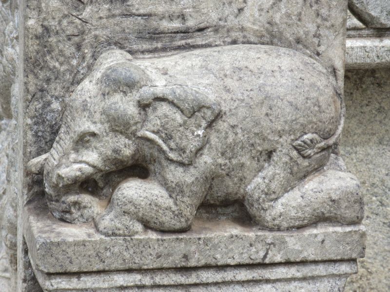 Love this elephant