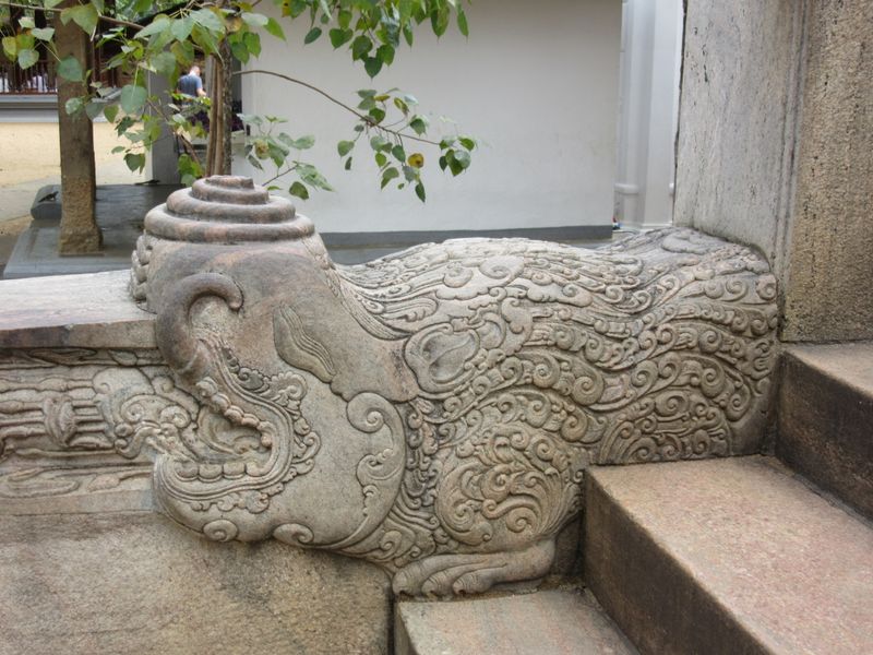 Crocodile