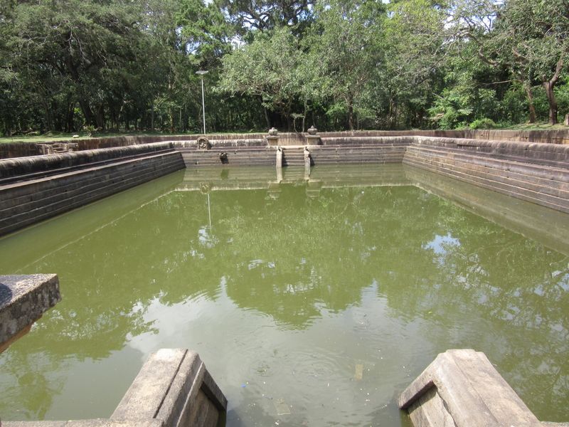 Twin Ponds