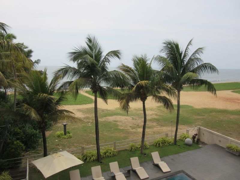 Overlooking the beach