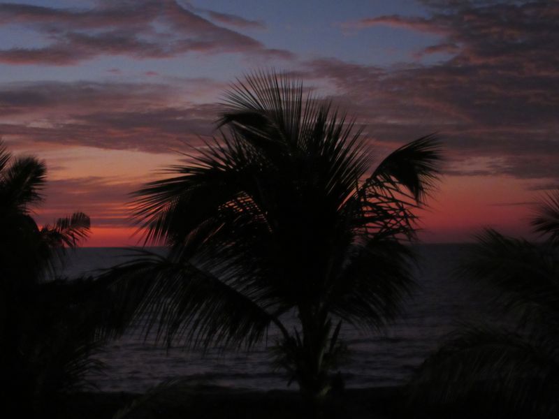Beautiful sunset 