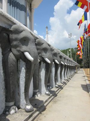 ...344 elephants