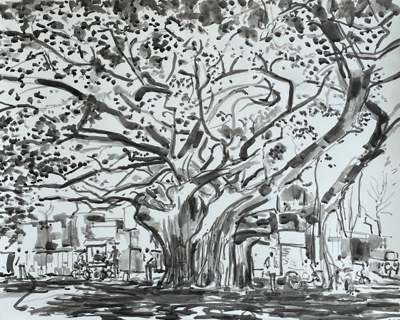 Under the Banyan Tree