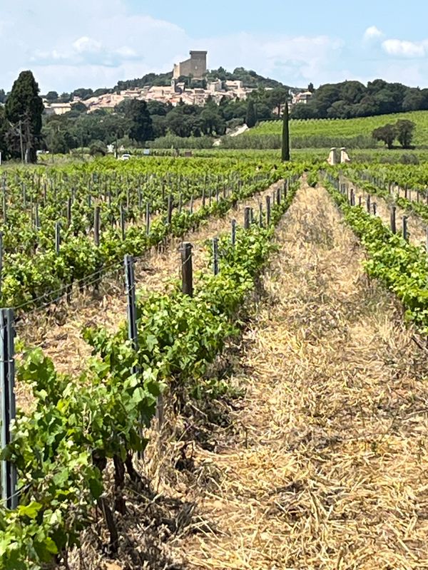 Chateauneuf du Pape