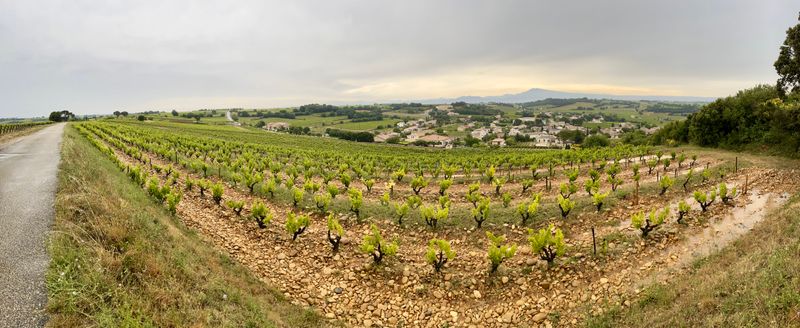Chateauneuf du Pape