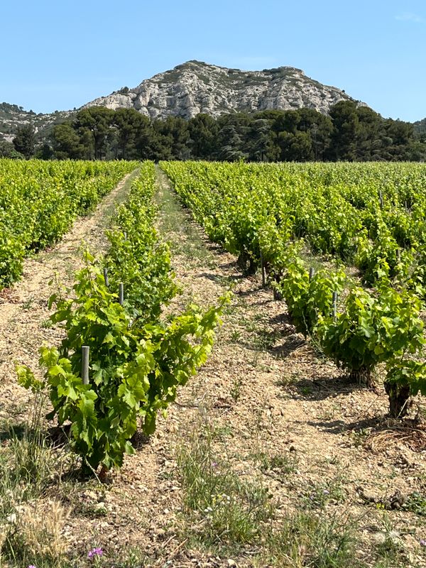 Les Alpilles