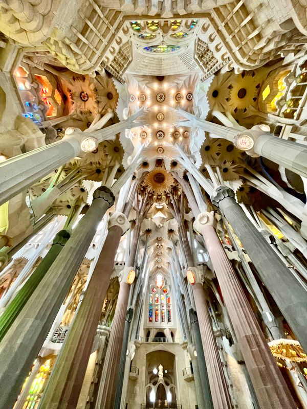 Sagrada Familia looking up
