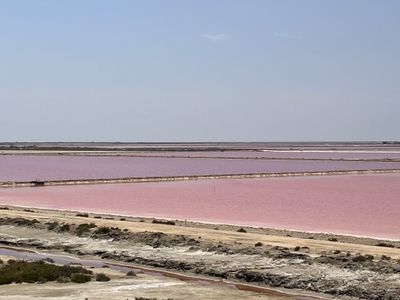 Camargue pink salt flats