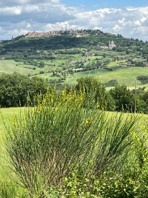 Montepulciano on hilltop