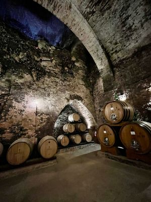 Etruscan cave now vino cellar