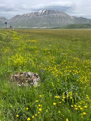 Piano Grande, Sibillini National Park