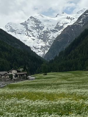 g13/31/573231/3/175640350.f377d661.JPEG