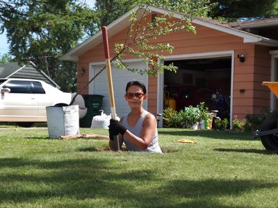 Summer of 2020...That tree has since been replanted in backyard. 