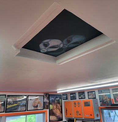I Had A Local Artist Paint My Attic Residents On The Trap Door...