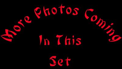 g13/31/628831/3/175807297.e3503cbd.JPEG
