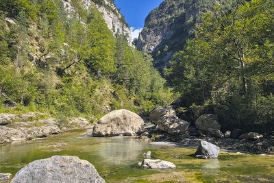 Dans le canyon d'Anisclo_3042D.jpg