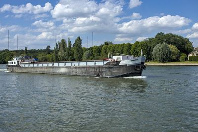 Damona_3738D.jpg