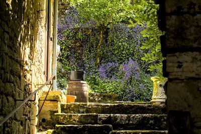 Saint Cirq Lapopie_3771D.jpg