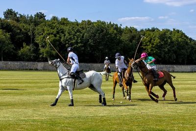 Polo  Courances