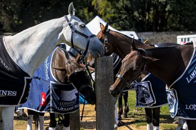 Polo à Courances