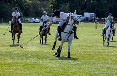 Courances Polo_4818D.jpg