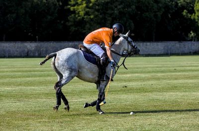 Polo à Courances