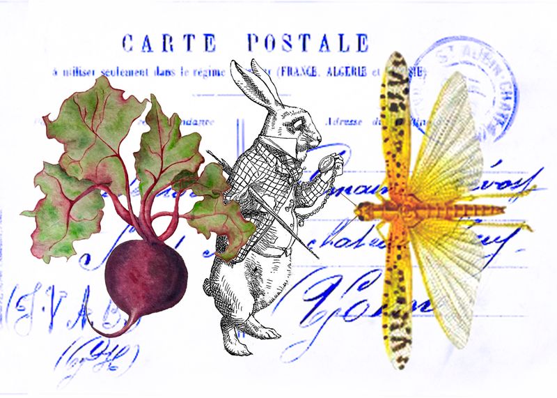 7x5 beet rabbit dragonfly copy 2.jpg