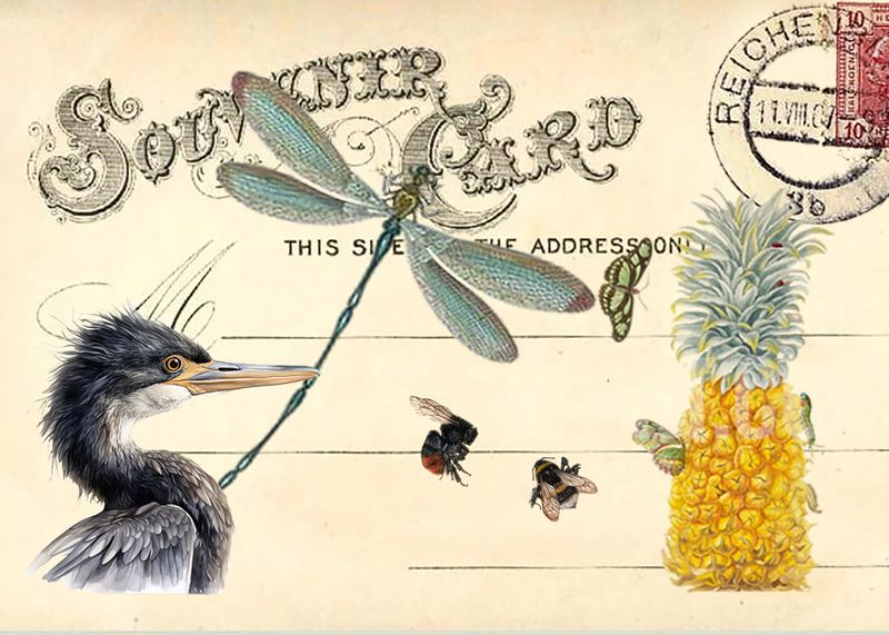 Amhinga Dragonfly Bees Pineapple copy.jpg