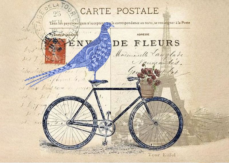 Bike bird copy.jpg