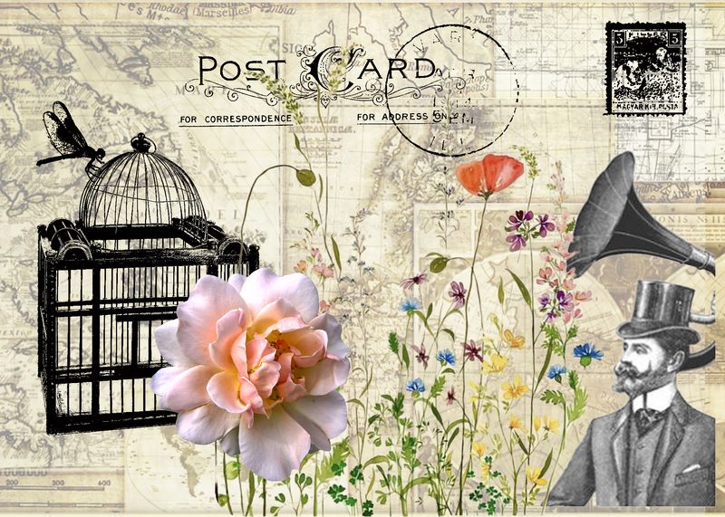 Birdcage Flowers ManGramophone copy.jpg
