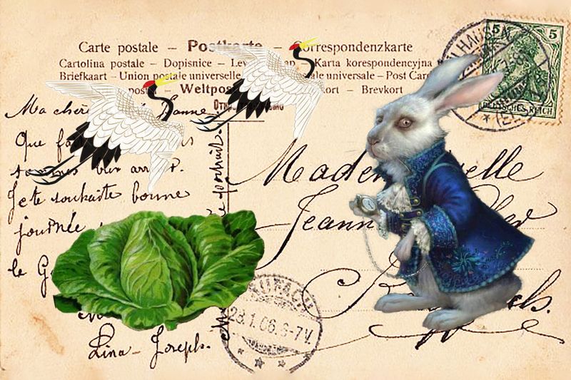 Cabbage Cranes Rabbit copy.jpg