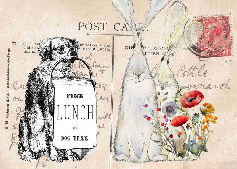 Dogsign Hare Wildflowers copy.jpg