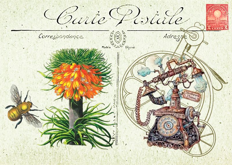 Postcard 5x7 Bee Bike Tele copy.jpg