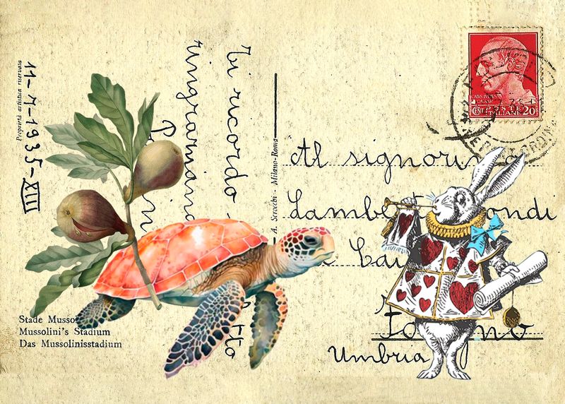 Postcard Fig Turtle Rabbit copy.jpg