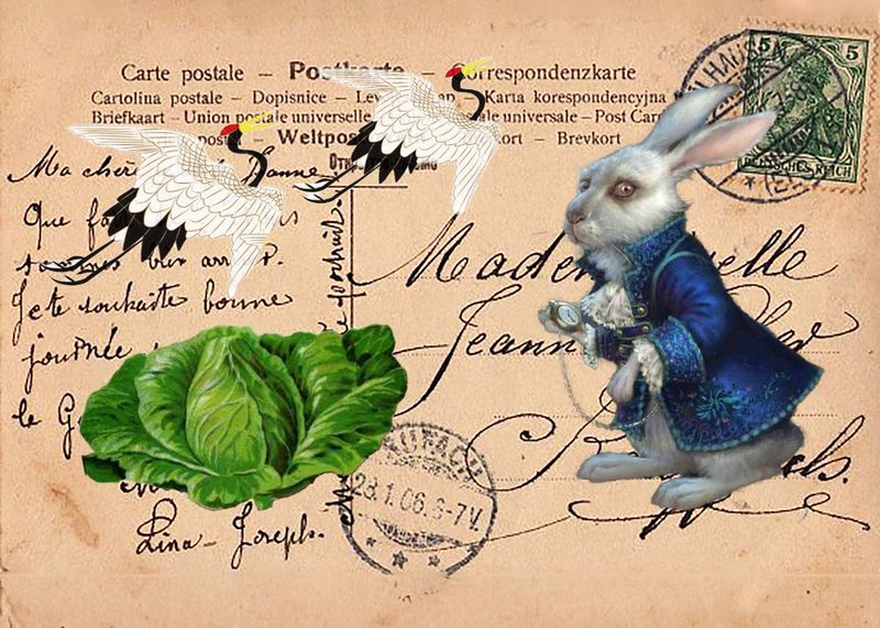 Cabbage Cranes RabbitU.jpg