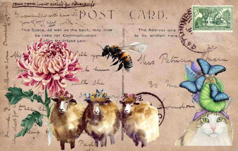 Flower Sheep Bee Cat copy.jpg