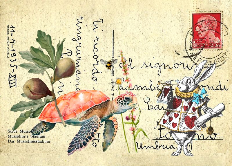 Postcard Fig Turtle RabbitU.jpg