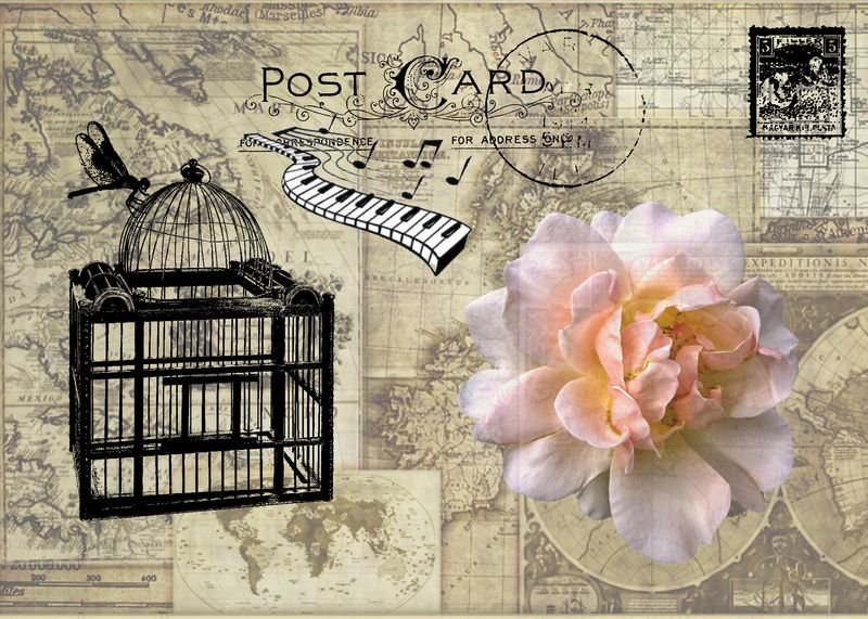 Monotone Postcard with rose copy.jpg
