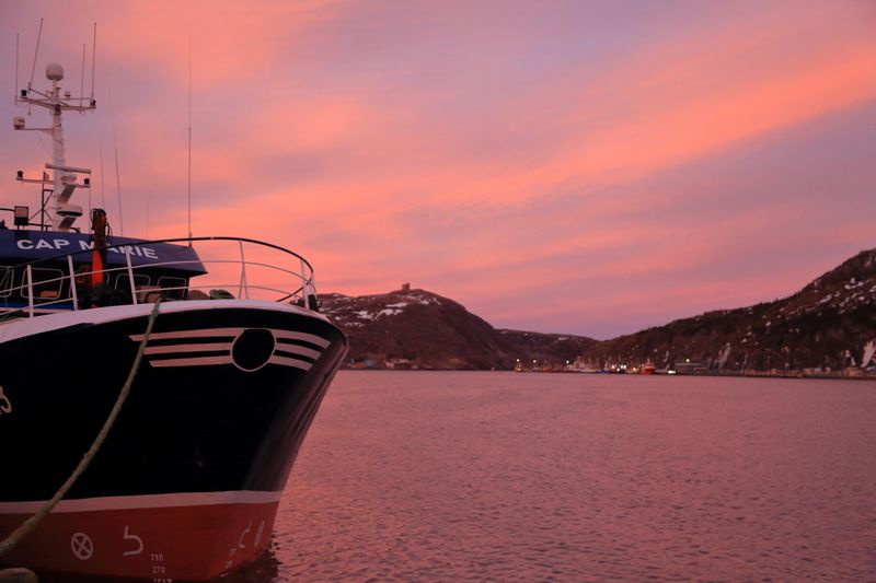 NEWFOUNDLAND BOATS