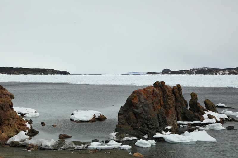 3B0A6178.JPG